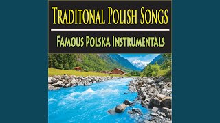 Polish Folk Song Karolinka [upl. by Aicenra826]