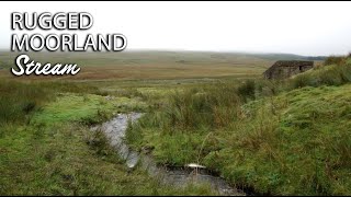 Rugged Moorland Stream on a Misty Morning  Serene Sounds for Sleep Study Relax [upl. by Lenora]