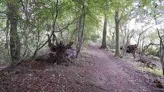 The Ridgeway Mongewell Park A4130 to Watlington 14 October 2021 [upl. by Susy]