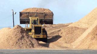 Front end loader working scooping wood chips [upl. by Loredana947]