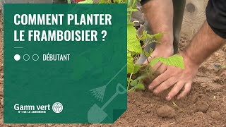 TUTO Comment planter un framboisier   Jardinerie Gamm vert [upl. by Komara954]