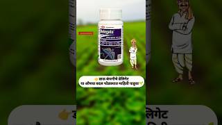 डेलिगेट Dow Delegate Insecticide  Dow AgroSciences  Spinetoram 117 SC  delegate agriculture [upl. by Geneva950]