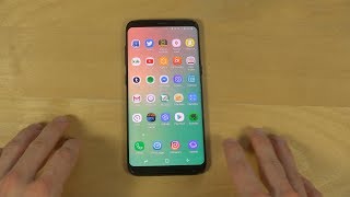 Samsung Galaxy S8 AMOLED Screen BURN IN Already So Sad [upl. by Arvind660]