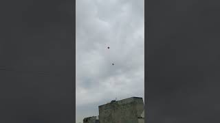 Karta ohi kam😂wait for last✅viralvideo patangbazzi kiteflying amritsar [upl. by Ytte497]