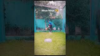 Moye Moye ho giya mere sath🥺 1000 subscriber complete ples 🥺 shorts bangladeshcricketlover crickt [upl. by Justina]