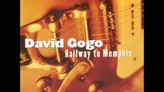 DAVID GOGO Nanaimo British Columbia Canada  Louisiana Blues [upl. by Ned]