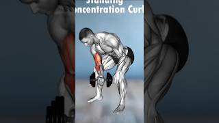 Biceps Workout At Gym  Best Exercises For Big Biceps  WeGoGym  bicepsworkoutbicepsexercise [upl. by Atteuqnas]