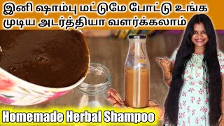 இனி ஷாம்பு மட்டுமே போட்டு உங்க முடிய அடர்த்தியா வளர்க்கலாம் Homemade Herbal Shampoo Jegathees meena [upl. by Dranyam]