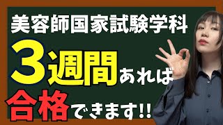 【３週間で合格】勉強方法｜今ゼロ知識でも大丈夫‼️🤩勉強のコツ伝授します✨😎一緒に頑張りましょう💪美容師国家試験筆記 [upl. by Kathi]