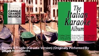 Lance BReed Orchestra  Piccola E Fragile Karaoke Version  Originally Performed By Drupi [upl. by Atrebor815]