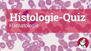 DocCheck HistologieQuiz Hämatologie [upl. by Eimmaj]