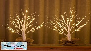 Lighted Birch Tree 2pcs 24in Christmas Tabletop Tree USB Rechargeable Base Review [upl. by Adrian468]