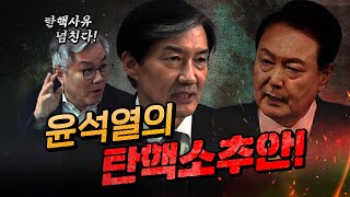 윤석열 정부 2년6개월간의 탄핵사유 총정리 조국amp최강욱 [upl. by Ihtraa]