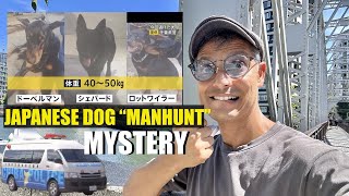 Japanese Dogs Escape Junkyard 20 Officer “Manhunt” Fails [upl. by Alex837]