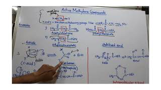 Active methylene compounds [upl. by Teirtza]