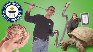 Largest Reptile Zoo  Guinness World Records [upl. by Claude]