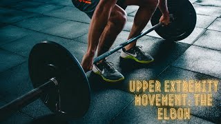 Upper Extremity Movement The Elbow 4 [upl. by Annahs869]