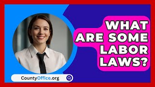 What Are Some Labor Laws  CountyOfficeorg [upl. by Trabue]