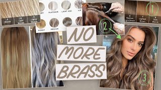 5 Solutions  Best Products to Get Rid of Brass in YOUR Hair [upl. by Murvyn559]