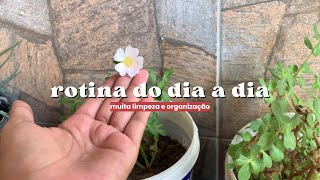 VLOG LIMPEZA DA CASA  GERAL NO BANHEIRO [upl. by Ahsratan737]