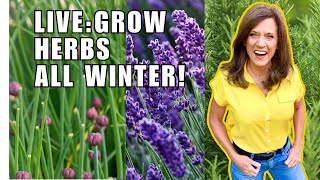 🌿LIVE Growing Perennial Herbs ALL Winter Long REPLAY [upl. by Marjy]