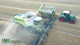 Geringhoff Truflex 40 harvesting grain [upl. by Bette-Ann]