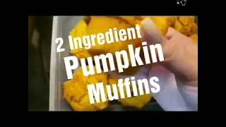 2 Ingredient Pumpkin Muffins [upl. by Kennedy424]