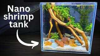 Easy Nano Shrimp tank Stepbystep tutorial for beginners [upl. by Asor]