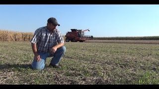 Precision Agriculture  Cover Crop Interseeding Study Becks Hybrids Practical Farm Research PFR® [upl. by Nohsid]