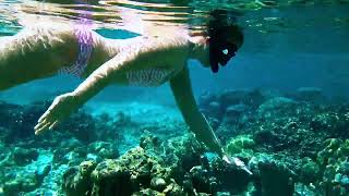 Snorkelling at Furaveri Maldives Ep 1 [upl. by Auod]