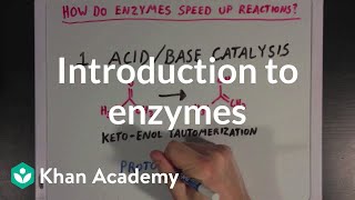 Introduction to enzymes and catalysis  Chemical Processes  MCAT  Khan Academy [upl. by Erkan]