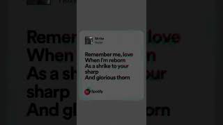 hozier shrike spotifymusic fyp justrandom music lyrics [upl. by Sessylu352]