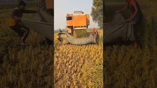 combine combineharvester harvester farming trending shorts [upl. by Roath]