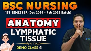 LYMPHATIC TISSUE  anatomy bsc nursing  bsc nursing 1st sem  anatomy BSC NURSING  BSC NURSING [upl. by Sregor]