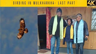 Birding in Mulkharkha  Last Day  Neora Valley Village  Offbeat North Bengal [upl. by Courcy]