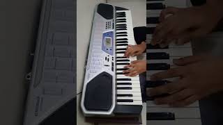 Radha rani mere sath hai isme darne ki ky baat hai 😍🥰piano pianobajao music song classical [upl. by Jeno501]