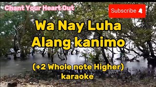 Wa Nay Luha Alang Kanimo karaoke  Rene Cruz  Chant Your Heart Out [upl. by Siletotsira]