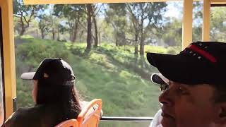 Werribee Open Zoo Safari [upl. by Babara]