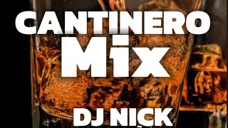 Cantinero Mix Dj Nick El Loco Soñador [upl. by Ardnat]