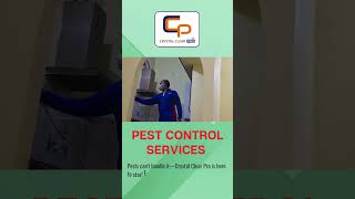 Pest Control Services in Chennai 🦟 Say Goodbye to Pests with Crystal Clear Pro 🏠✨crystalclearpro [upl. by Eicyaj]