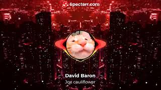 David Baron  Joe Cauliflower Visualizer [upl. by Kensell]