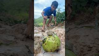 Survival Skills SIMPLE and USEFUL with winter melon bushcraft camping outdoors [upl. by Nikkie704]