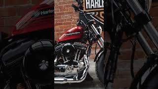 2019 HarleyDavidson FortyEight Special [upl. by Messere]