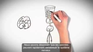 Understanding Pain Brainman stops his opioids French subtitles [upl. by Hearsh78]