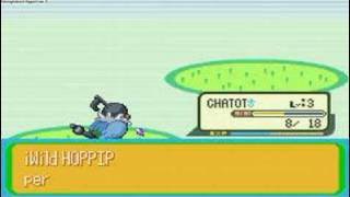 Pokemon Naranja Walkthrough Part 2 Chatot [upl. by Ackley]