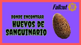 Fallout 76  Dónde encontrar Huevos de Sanguinario [upl. by Morven139]