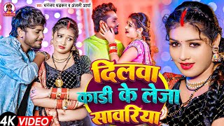 video  दिलवा कड़ी के लेजा सावरिया  धनंजय धड़कन  Dilwa Kadi Ke Leja Sawariya  2024 Ka Blast Song [upl. by Asylla]