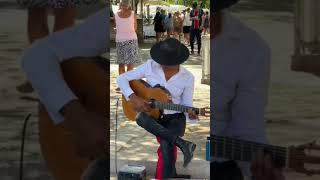 Live Guitar In the Street 02 [upl. by Ardek370]