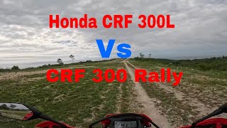 Honda crf300l vs crf300l rally Why would you choose the L [upl. by Norvin490]