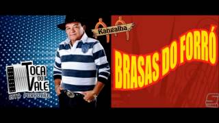 BRASAS DO FORRO  BAGUAL BARBARIDADEwmv [upl. by Eve]